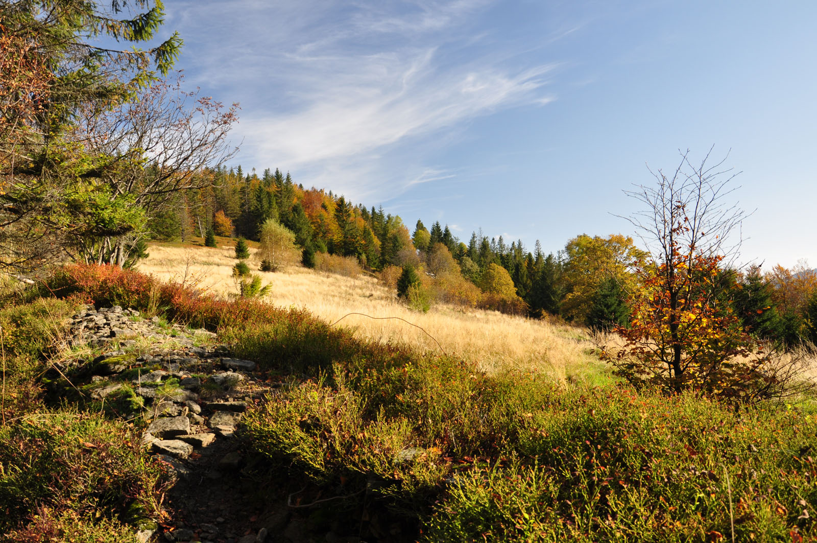 jesień w Beskidzie Śląskim